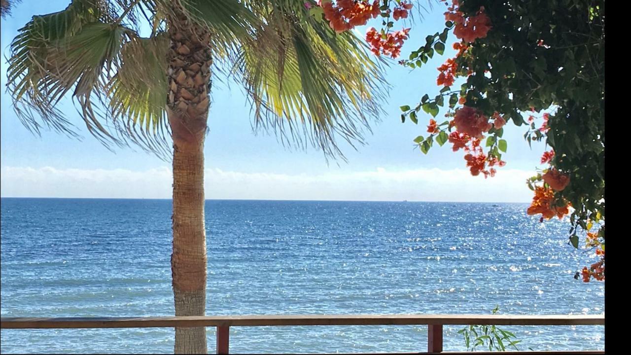 Mi Capricho C16 Beachfront Apartment Sitio de Calahonda Luaran gambar